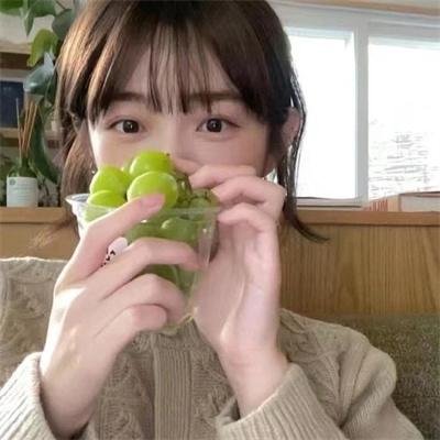狗狗的旅程